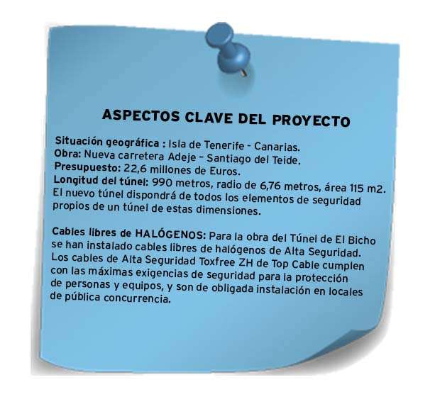túnel el bicho
