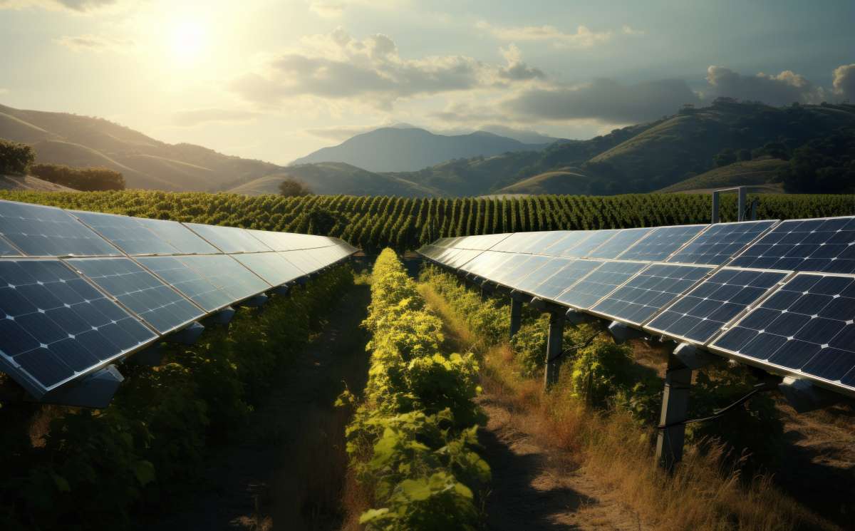 Energía agrivoltaica