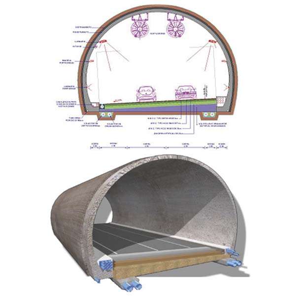 túnel el bicho