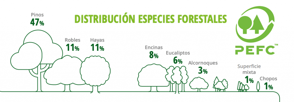 bosc PEFC